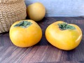 秋の定番【柿】を使ったおいしいレシピをご紹介！おかずやスイーツも