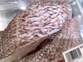 【アクアパッツァ】鯛を使ったおいしいレシピはコレ！丸ごと使った作り方も