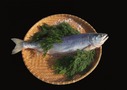 【新巻鮭】通販で買えるおすすめ品ランキングTOP7！おいしい食べ方もご紹介