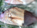 贅沢な味【鯛の炊き込みご飯】のレシピをご紹介！切り身やあらで簡単に