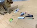 【猫用のおもちゃ】は手作りもおすすめ！100均グッズで簡単に作るには？