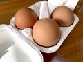 高知県産【土佐ジロー】は卵もおいしい絶品の肉！食べ方やおすすめの通販は？
