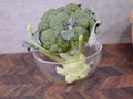 おいしいブロッコリーの選び方や保存方法を解説！色や茎の太さは？