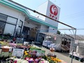 【コメリ】秋田県内の店舗情報をチェック！ペットショップがあるのはどこ？